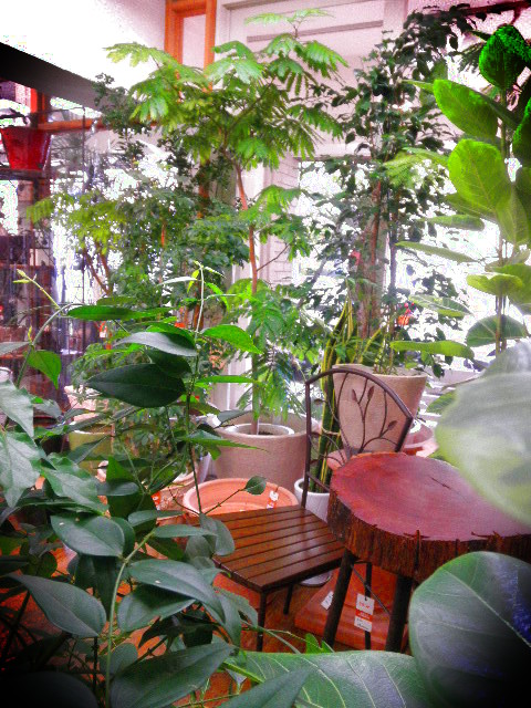 P2200955.JPG
