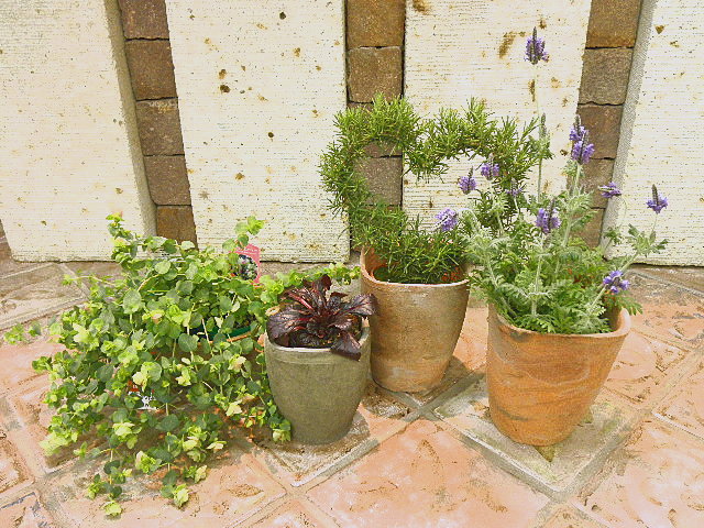 P3171283.JPG