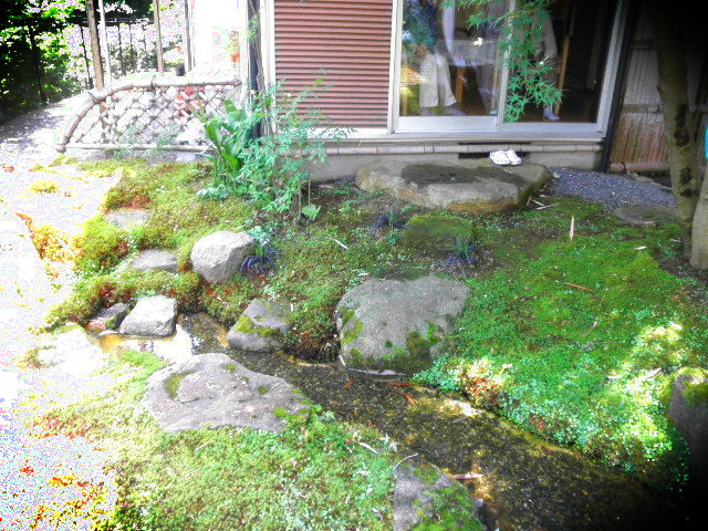 P6221853.JPG