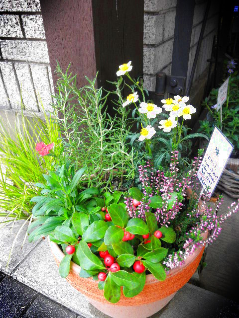 PA092632.JPG