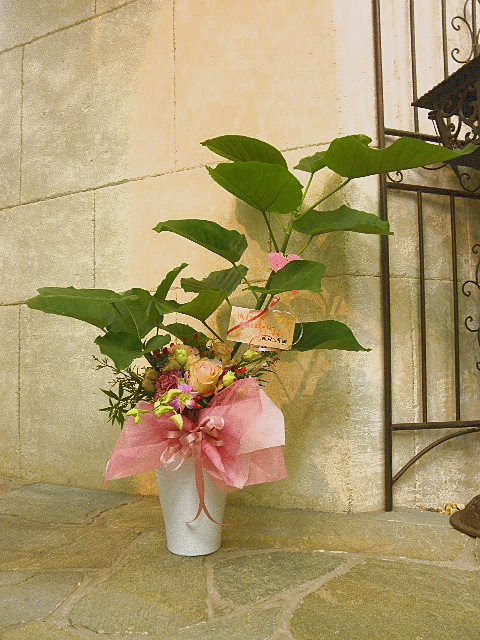 PA202743.JPG