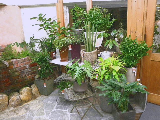 PA282792.JPG