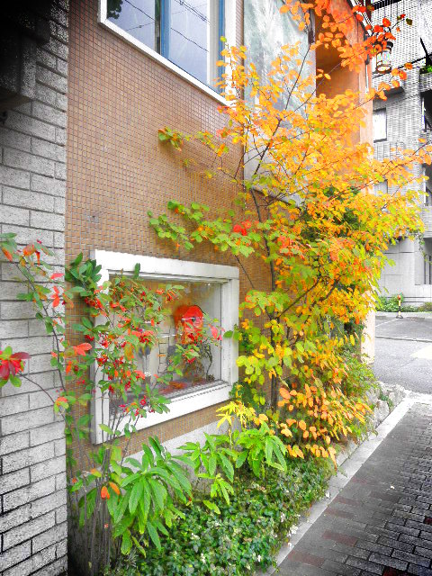 PB092916.JPG
