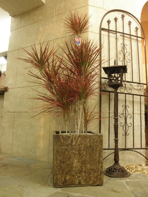 20121214a.JPG