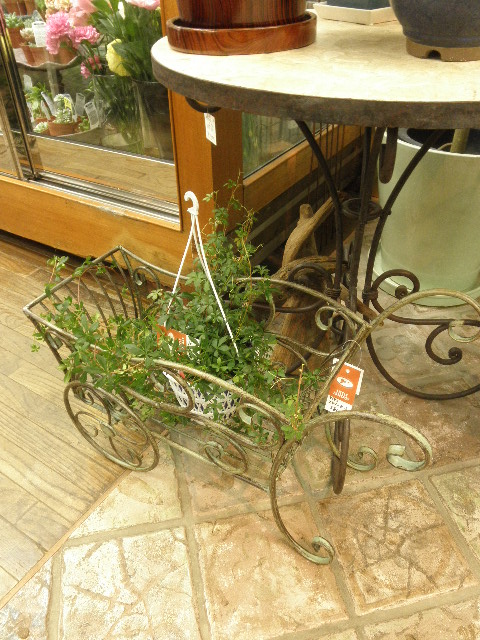 P2013360.JPG