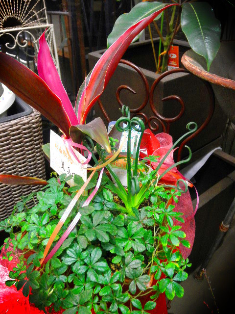 P2013354.JPG
