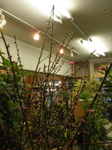 P2233495.JPG