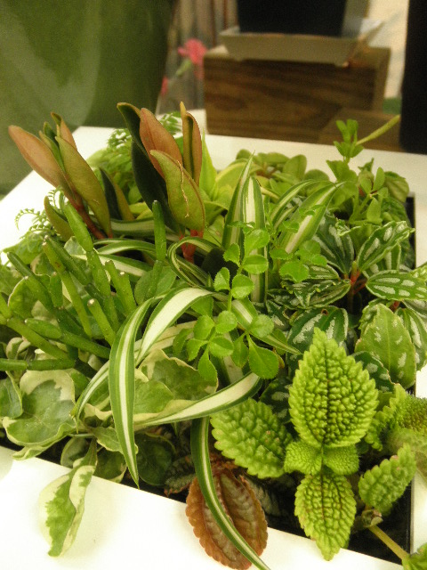 20130310c2.JPG