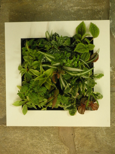 20130310c.JPG