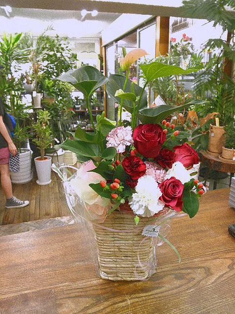 P8105190.JPG