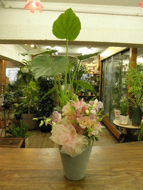 PA235731.JPG