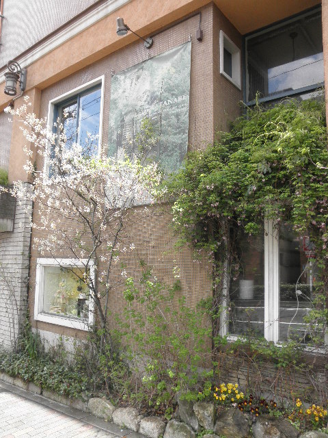 P4067183.JPG