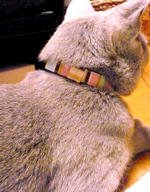 猫の首輪 お客様の声