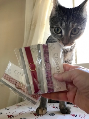 CONOHAのピンクの首輪3種類