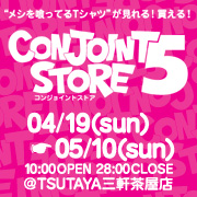 CONJOINT STORE5
