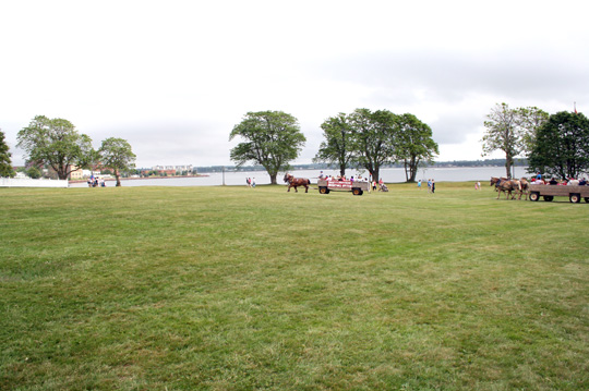 IMG_4359.jpg