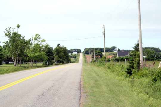 IMG_4377.jpg