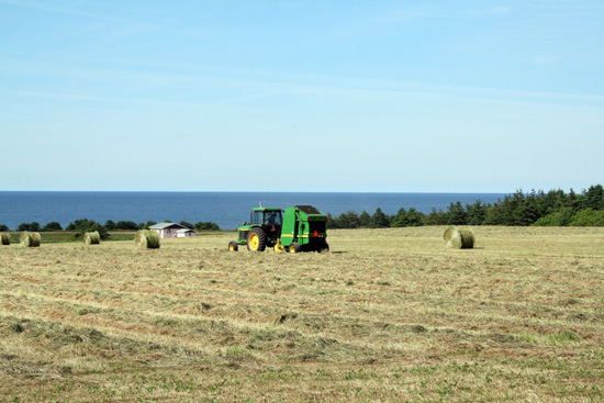 IMG_4638.jpg