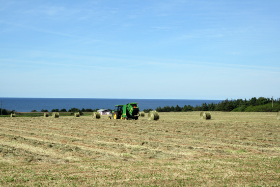 IMG_4640.jpg