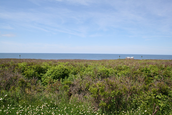 IMG_4551.jpg