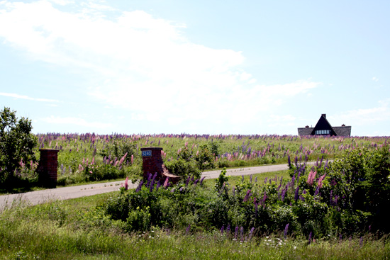IMG_4899.jpg
