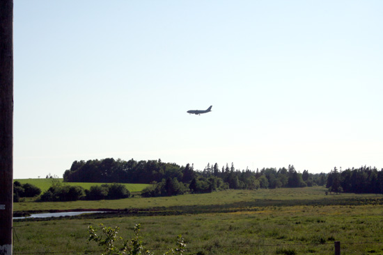 IMG_5034.jpg