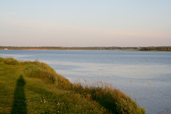IMG_5058.jpg