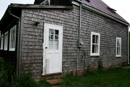 IMG_5240.jpg