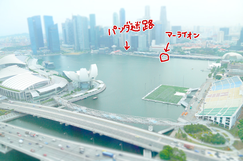P1110227.jpg
