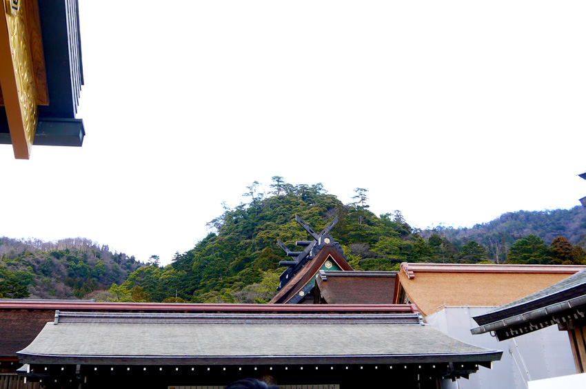 P1140128.jpg