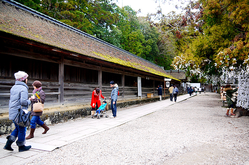 P1140129.jpg