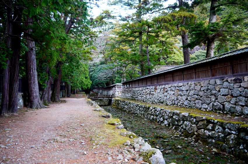 P1140135.jpg