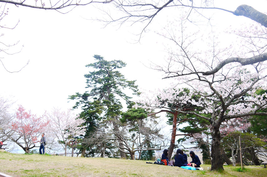 P1150154.jpg