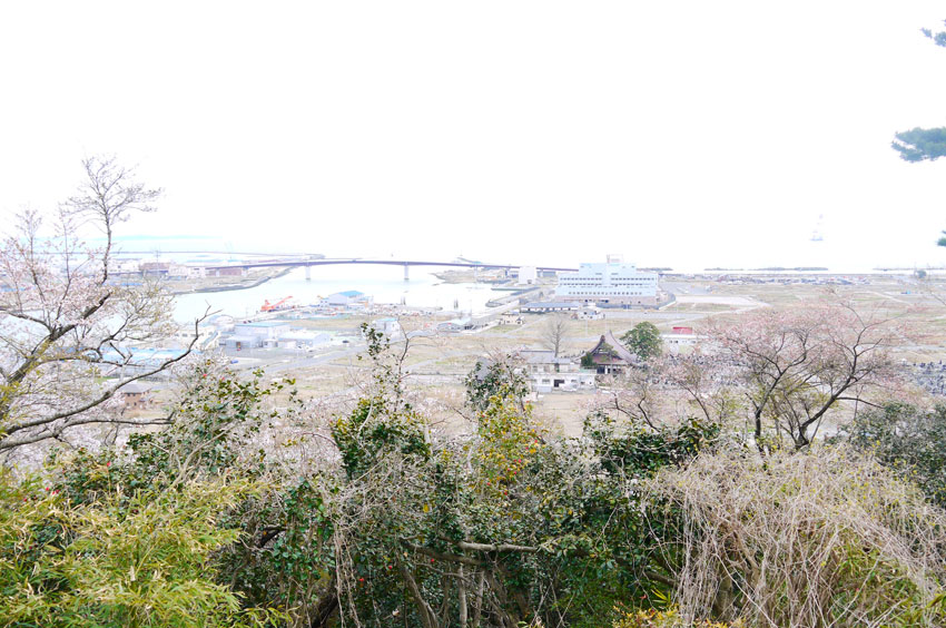 P1150161.jpg