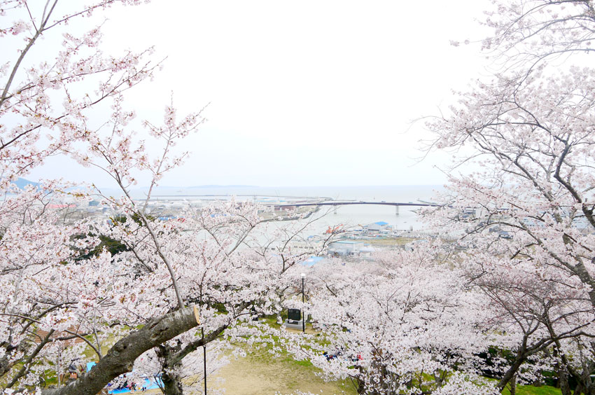 P1150164.jpg