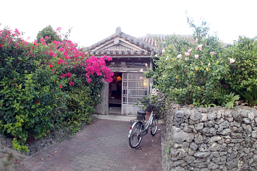 P3230215.jpg