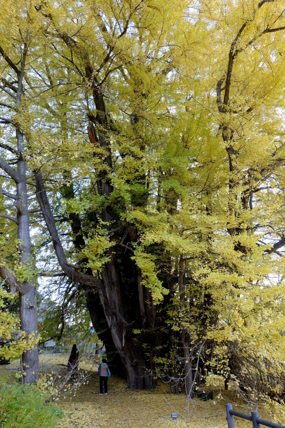 DSCF0291.jpg