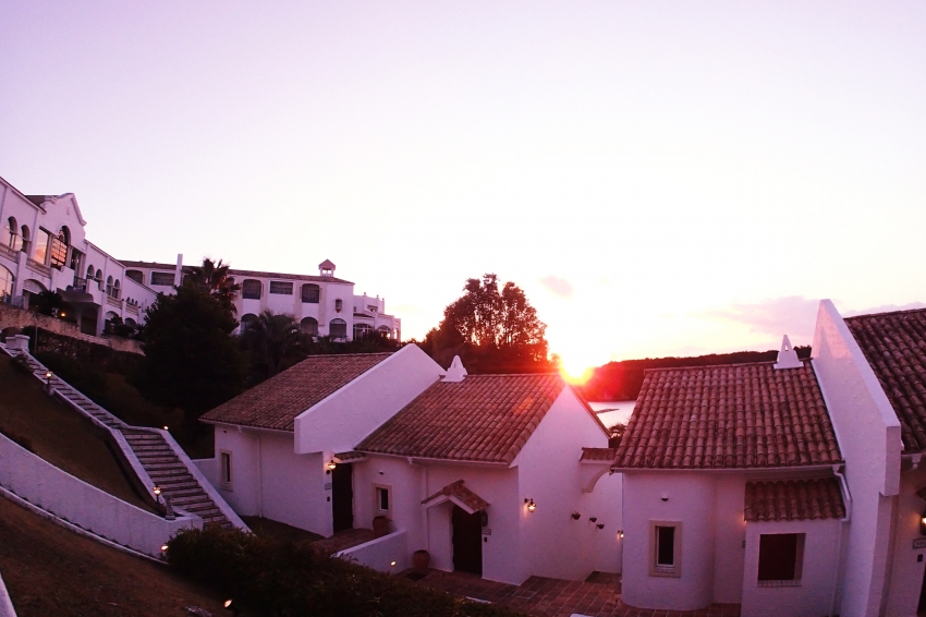 P1070176.jpg