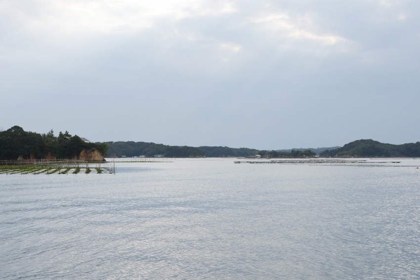 P1020434.jpg