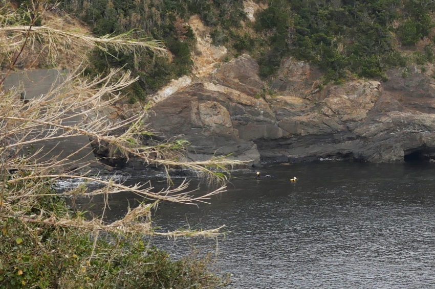 P1020490-2.jpg