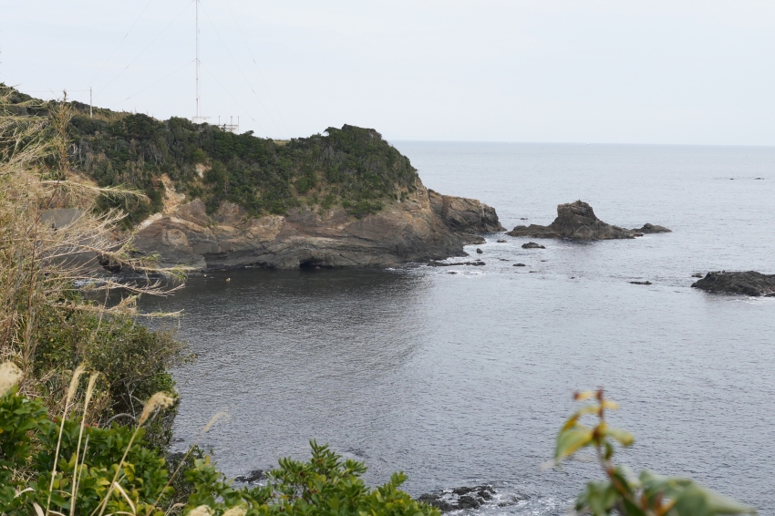 P1020490.jpg