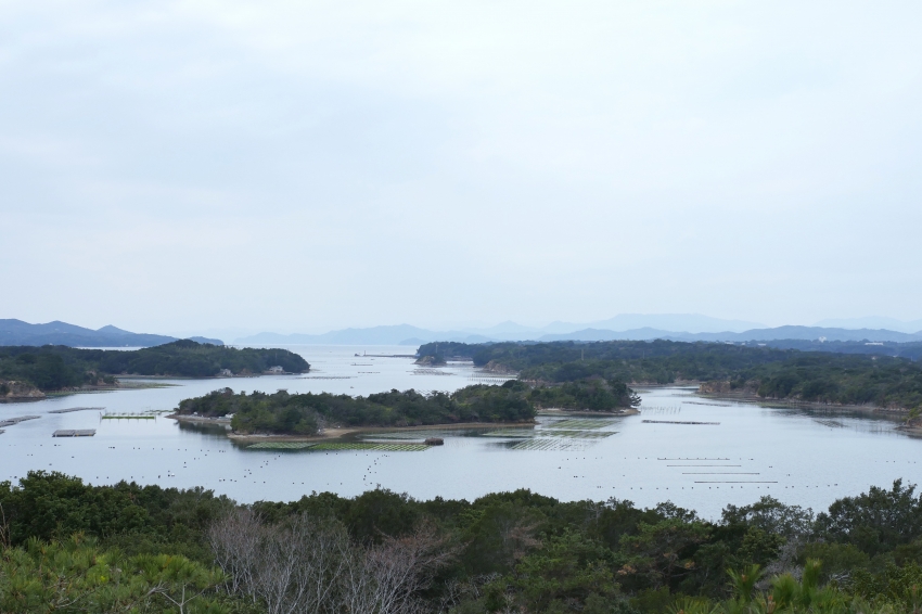 P1020511.jpg