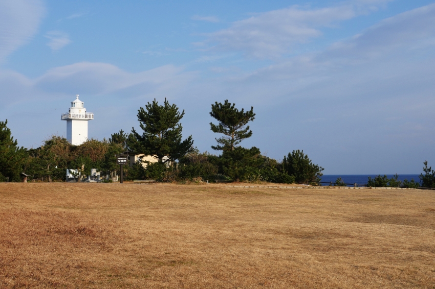 P1020557.jpg