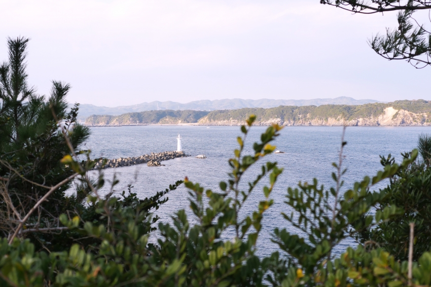 P1020562.jpg