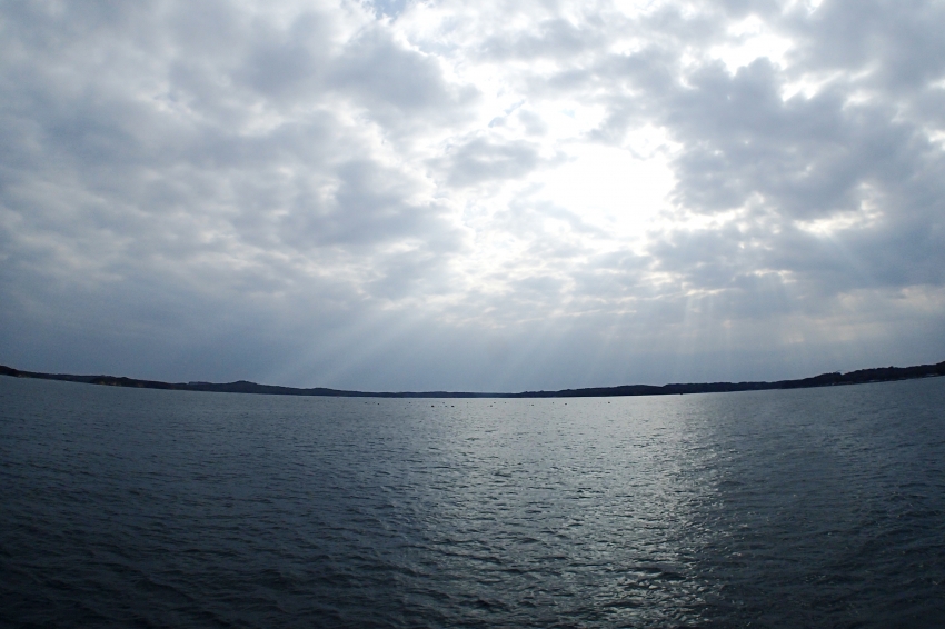 P1080219.jpg