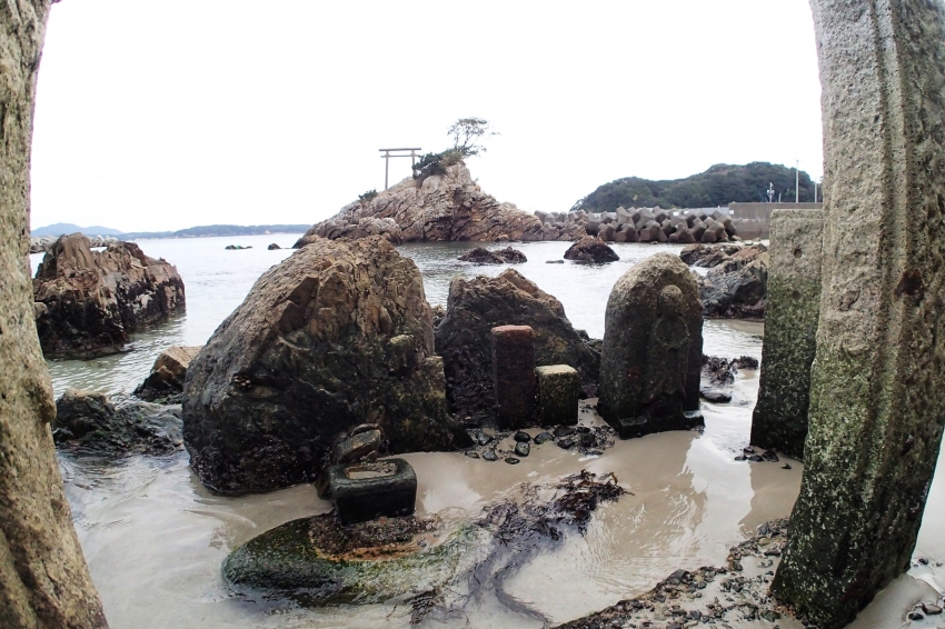 P1080233.jpg