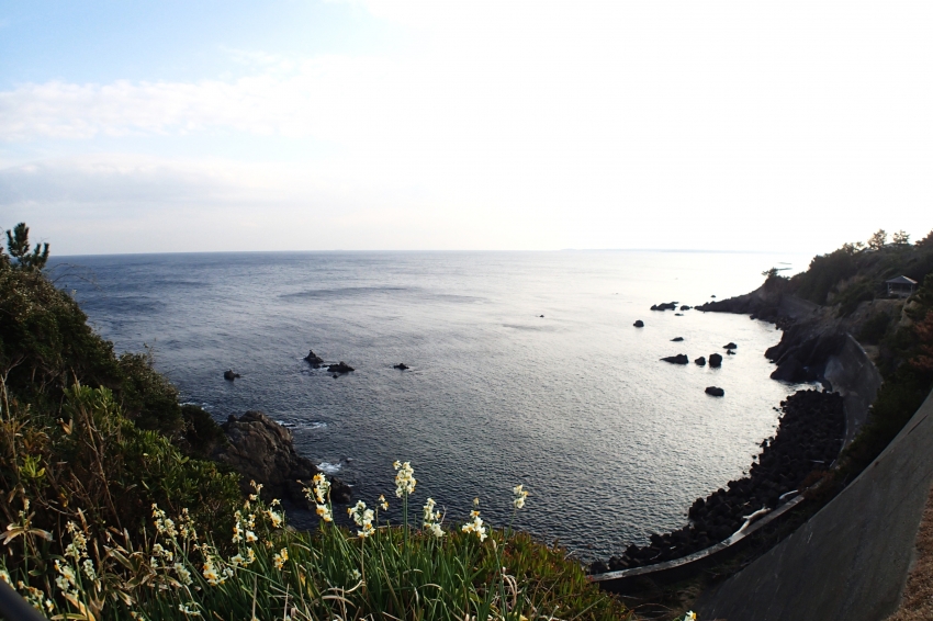 P1080269.jpg