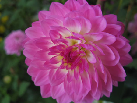 IMGP3118.jpg