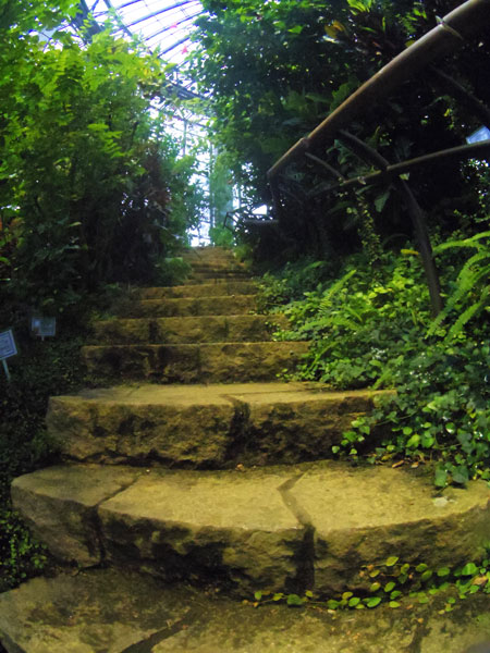 IMGP3149.jpg