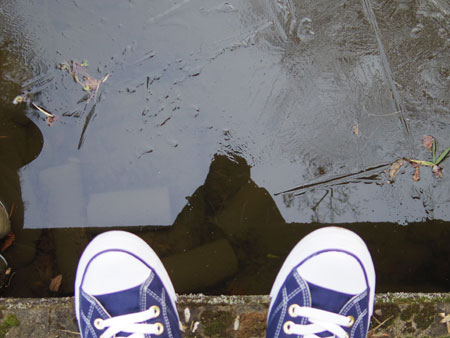 05.jpg
